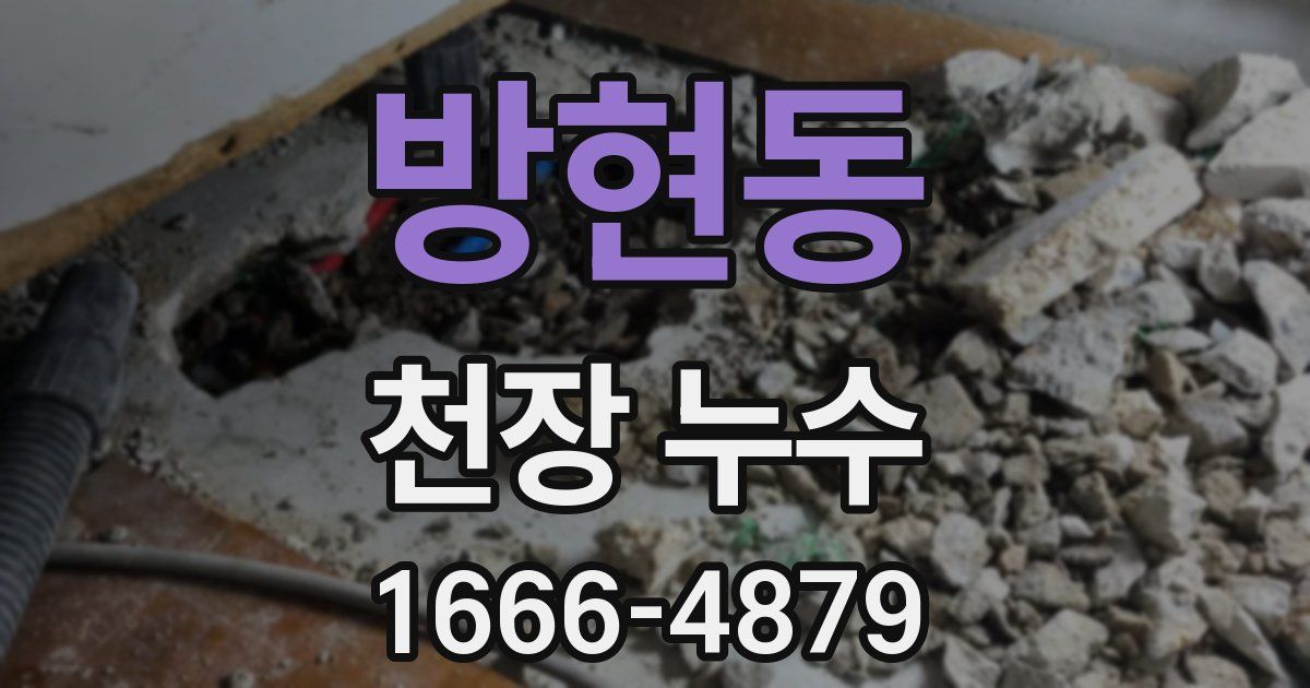 방현동 천장 누수
