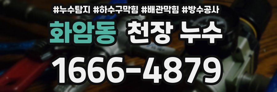 화암동 천장 누수