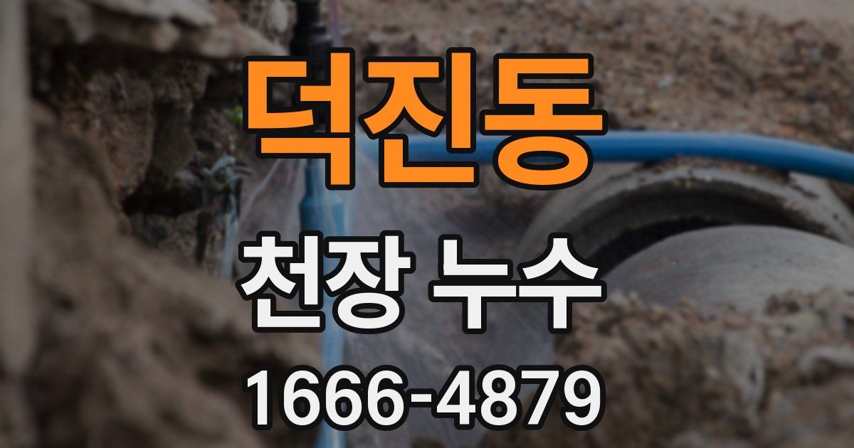 덕진동 천장 누수