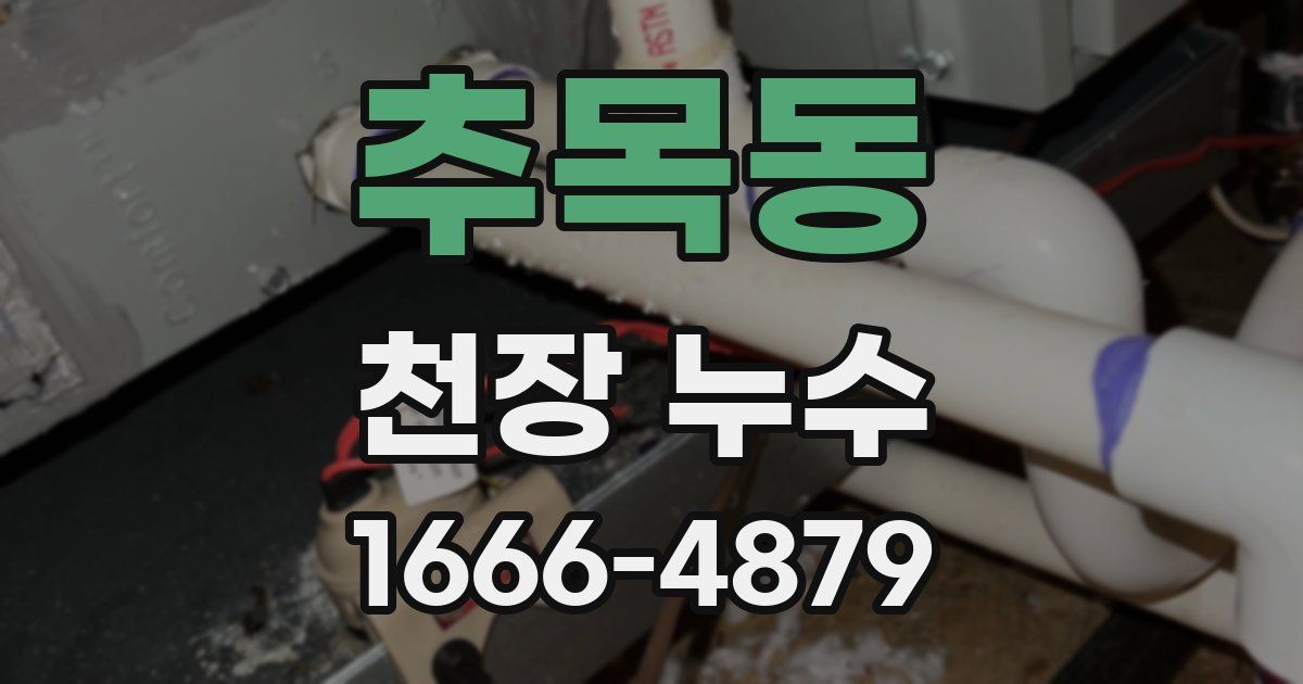 추목동 천장 누수