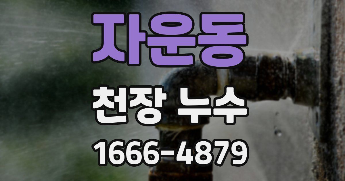 자운동 천장 누수