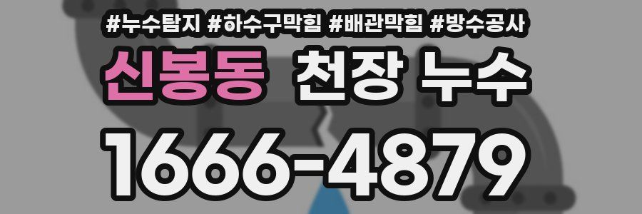 신봉동 천장 누수