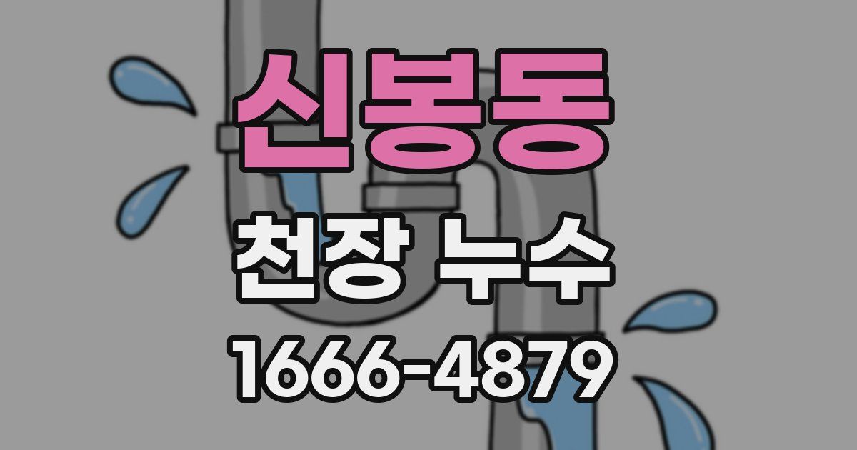 신봉동 천장 누수
