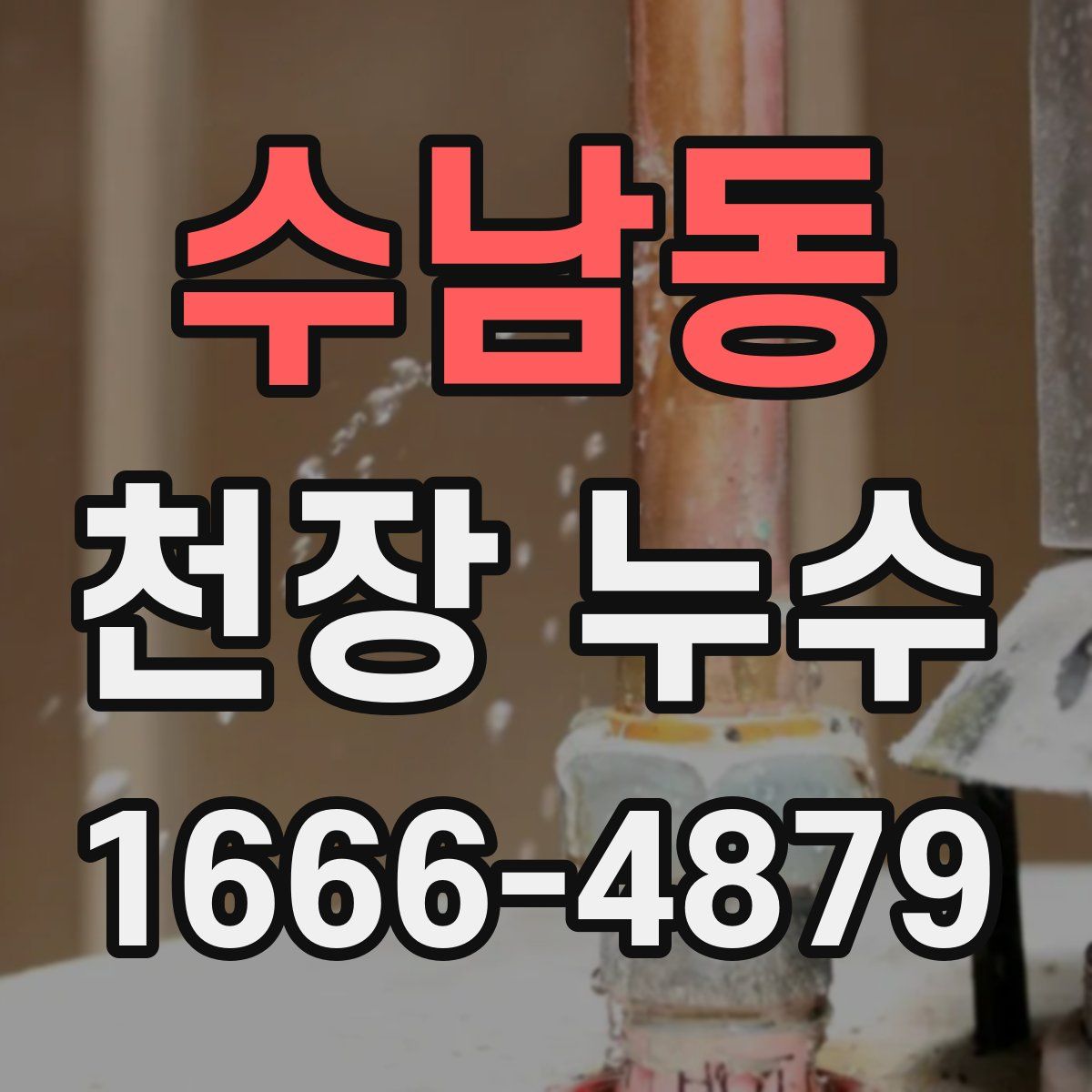 수남동 천장 누수