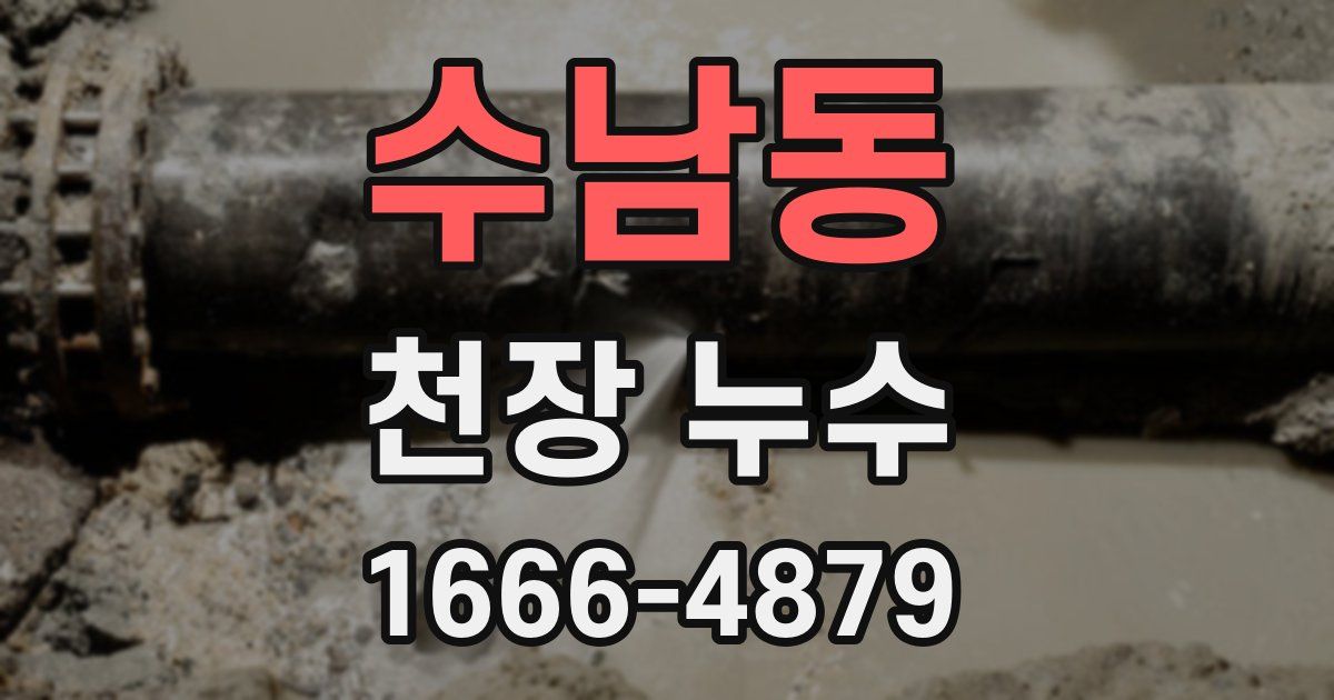 수남동 천장 누수