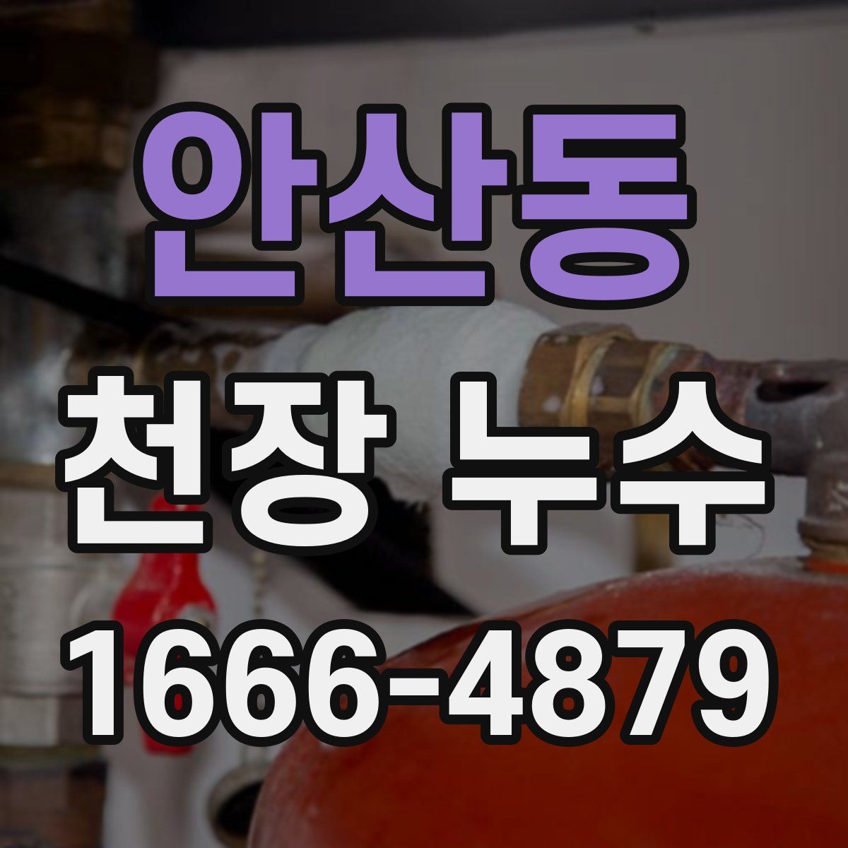 안산동 천장 누수