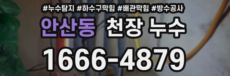 안산동 천장 누수