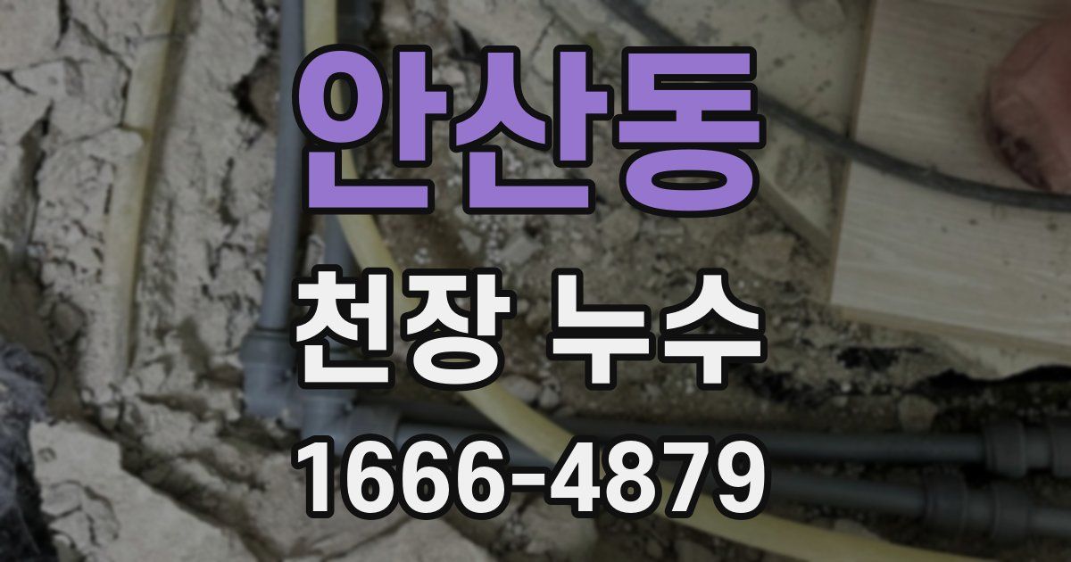 안산동 천장 누수