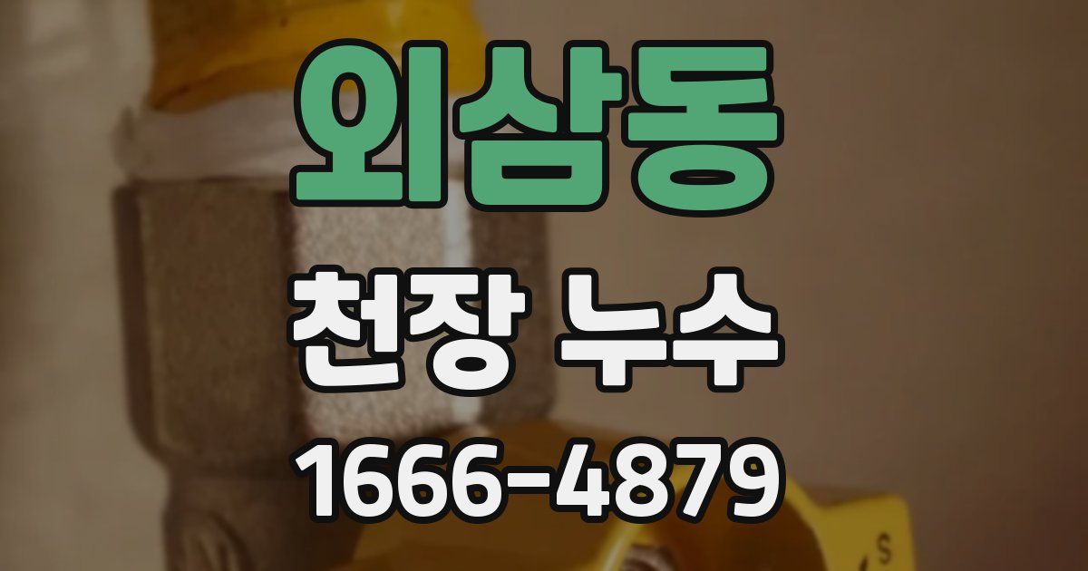 외삼동 천장 누수