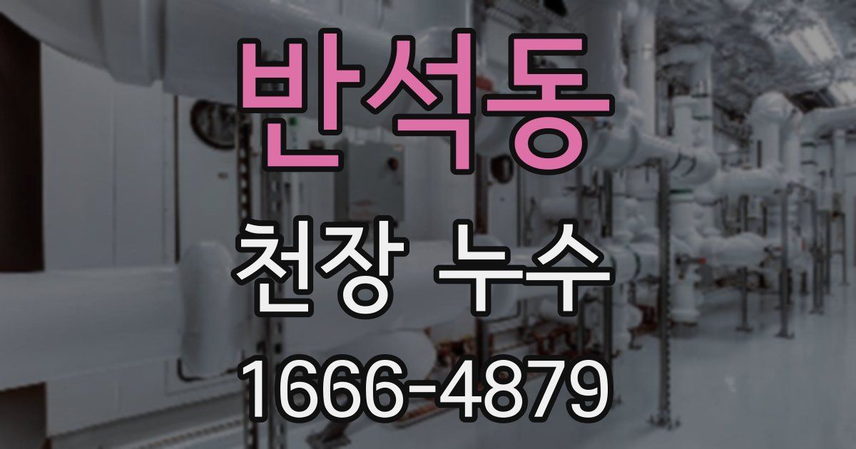 반석동 천장 누수