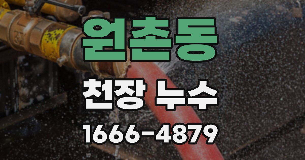 원촌동 천장 누수