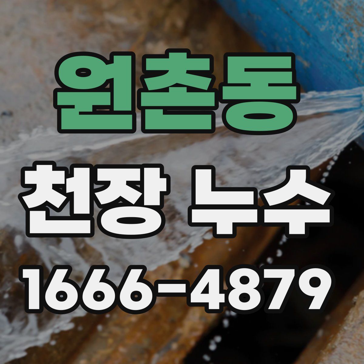 원촌동 천장 누수