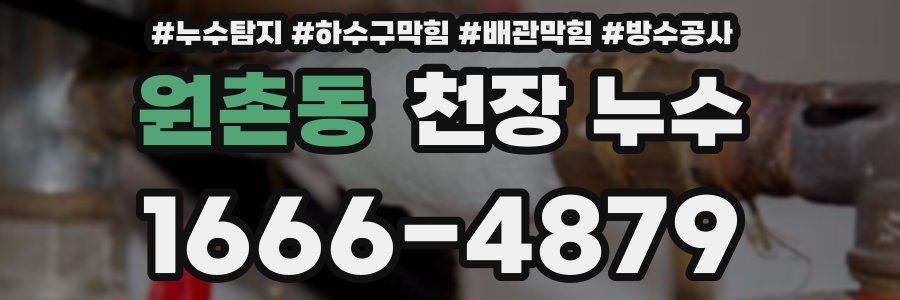 원촌동 천장 누수
