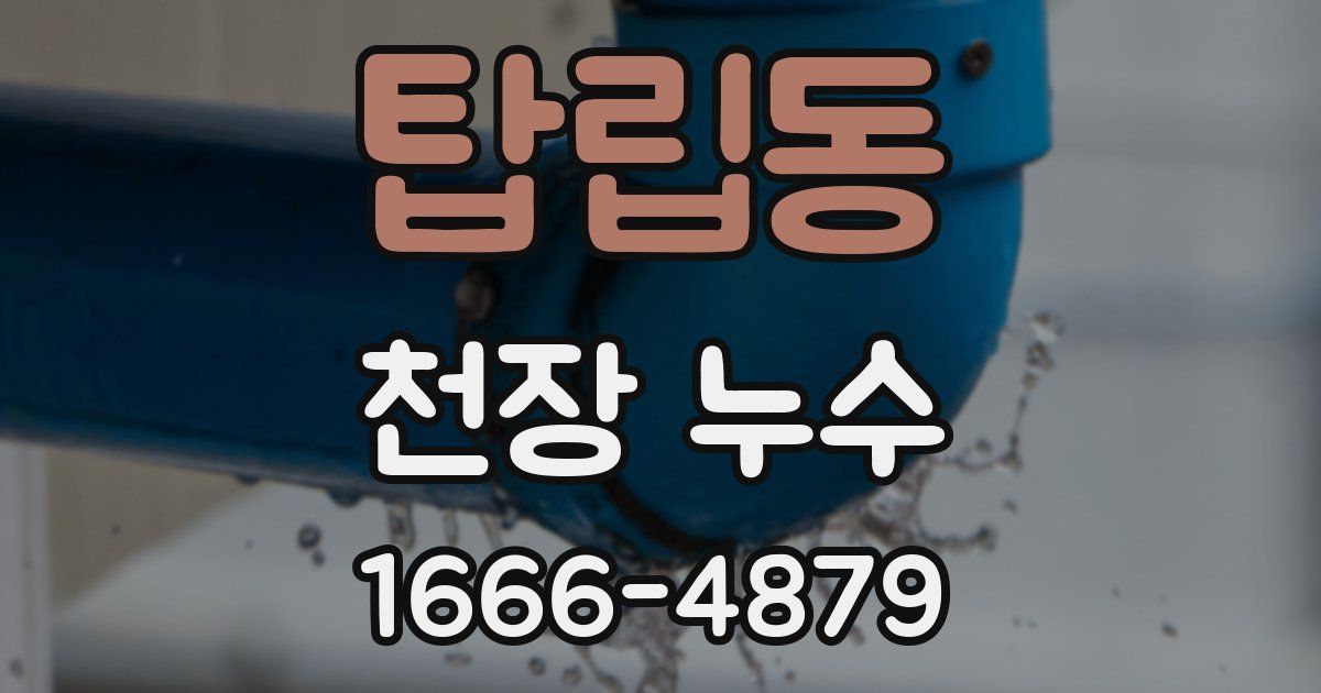탑립동 천장 누수