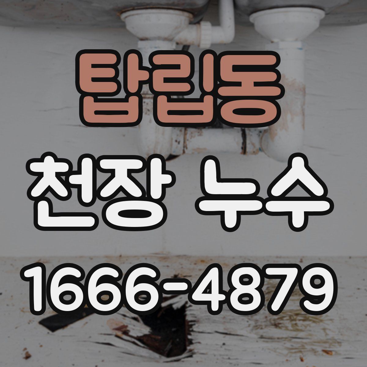 탑립동 천장 누수