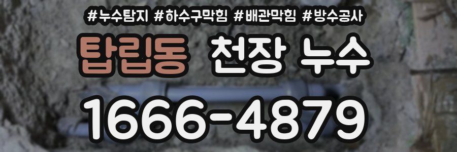 탑립동 천장 누수