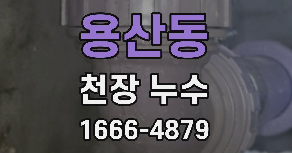용산동 천장 누수
