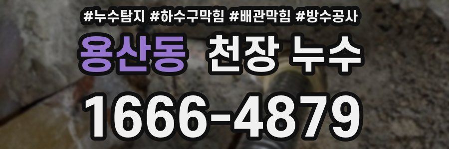 용산동 천장 누수