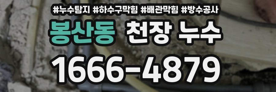 봉산동 천장 누수