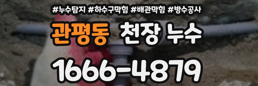 관평동 천장 누수