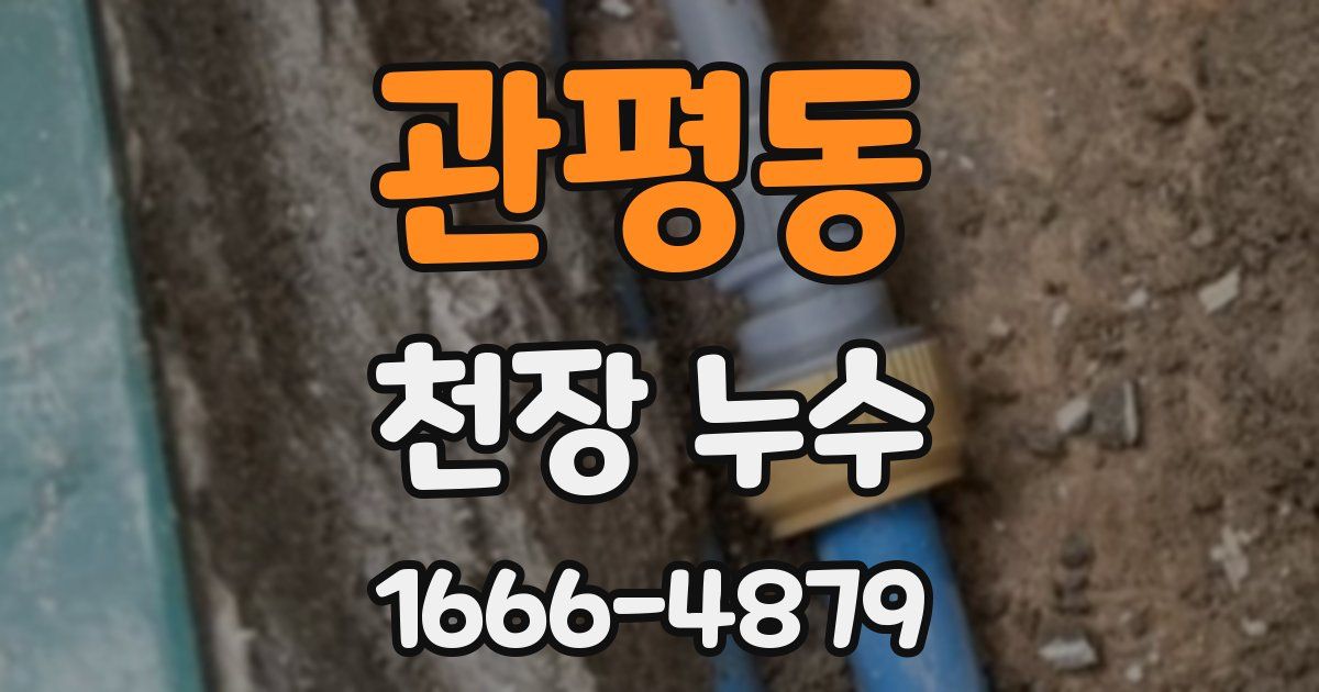 관평동 천장 누수