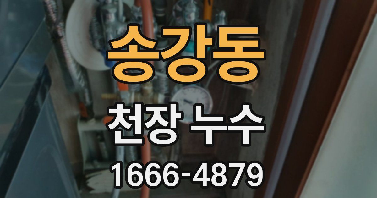 송강동 천장 누수