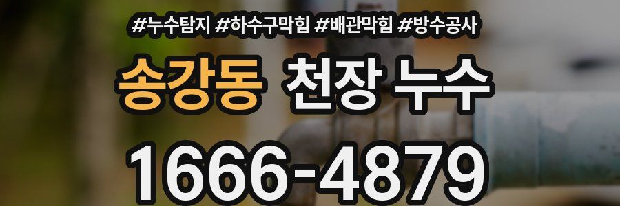 송강동 천장 누수
