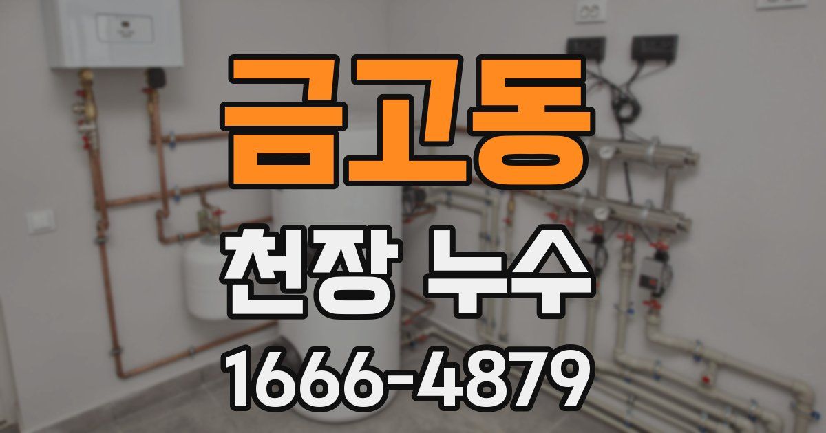 금고동 천장 누수