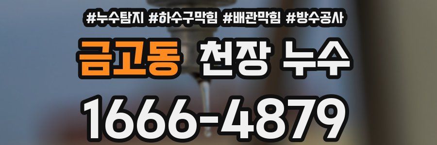 금고동 천장 누수