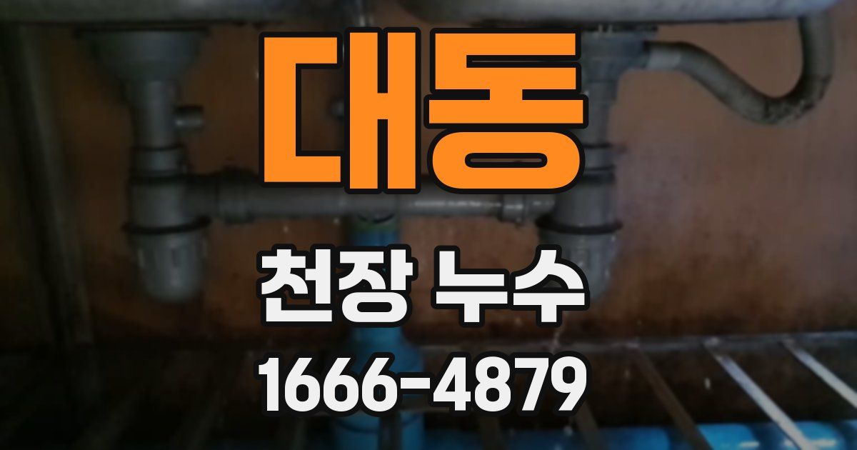대동 천장 누수