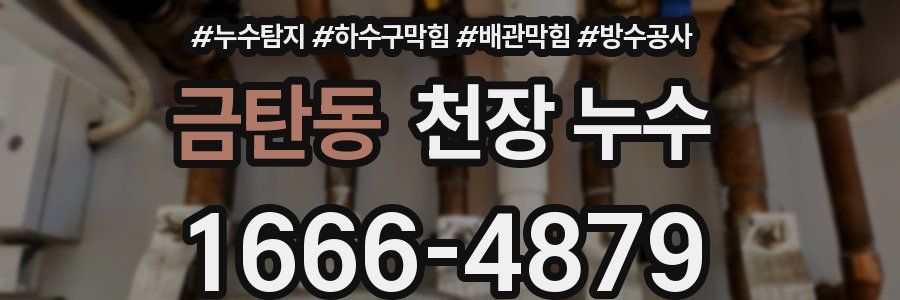 금탄동 천장 누수
