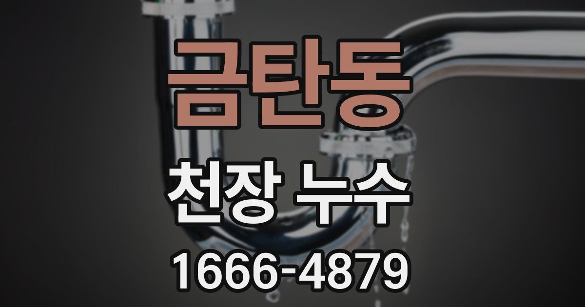 금탄동 천장 누수