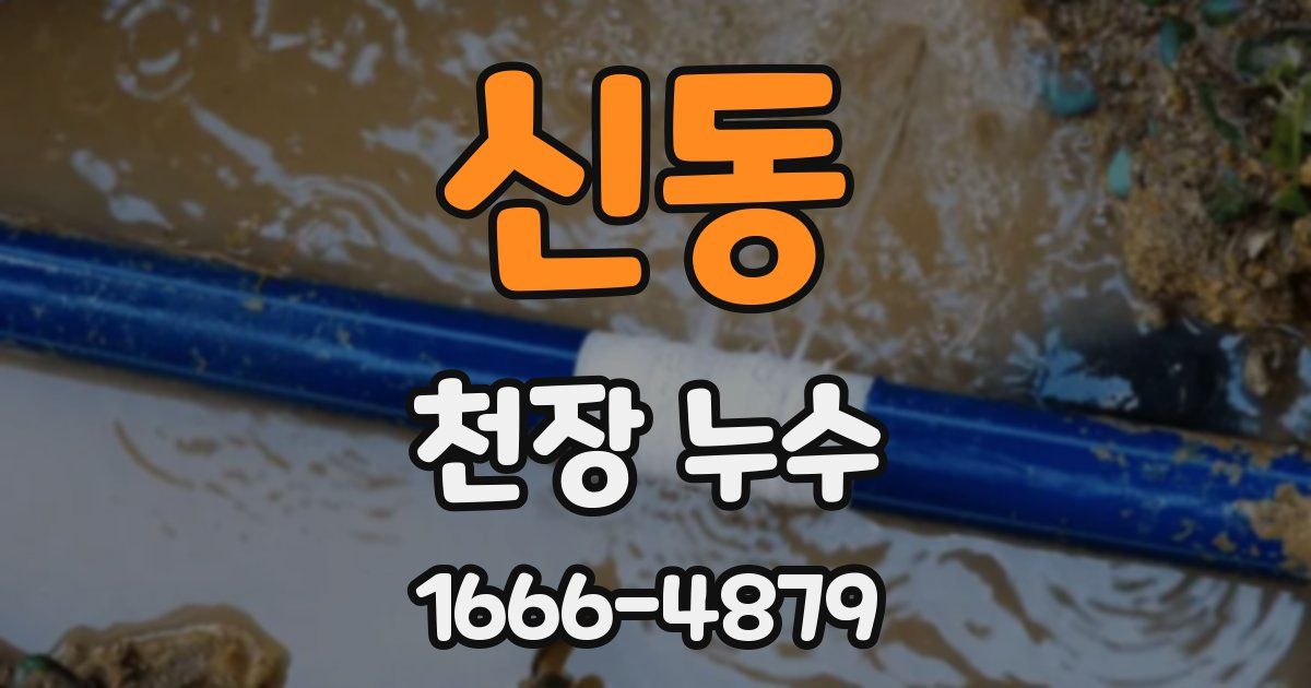 신동 천장 누수