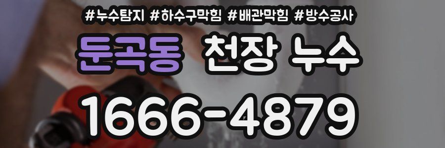 둔곡동 천장 누수
