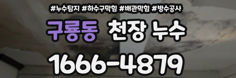 구룡동 천장 누수