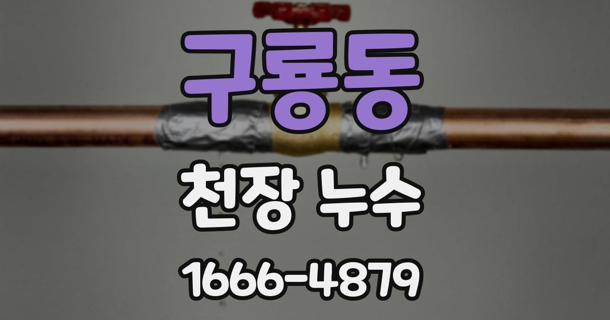 구룡동 천장 누수
