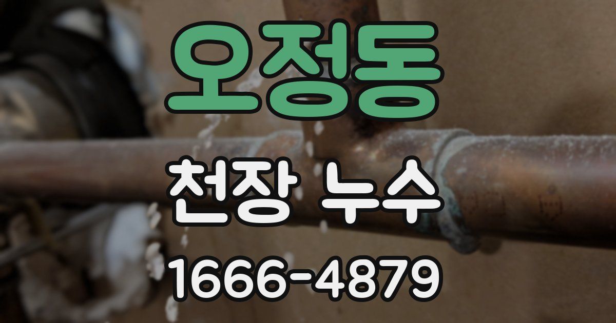 오정동 천장 누수