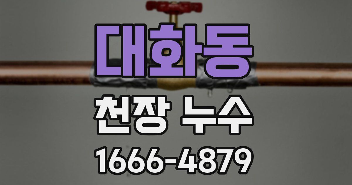 대화동 천장 누수