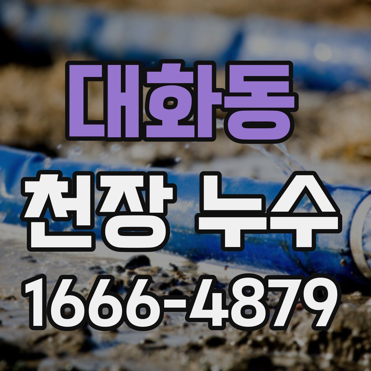 대화동 천장 누수