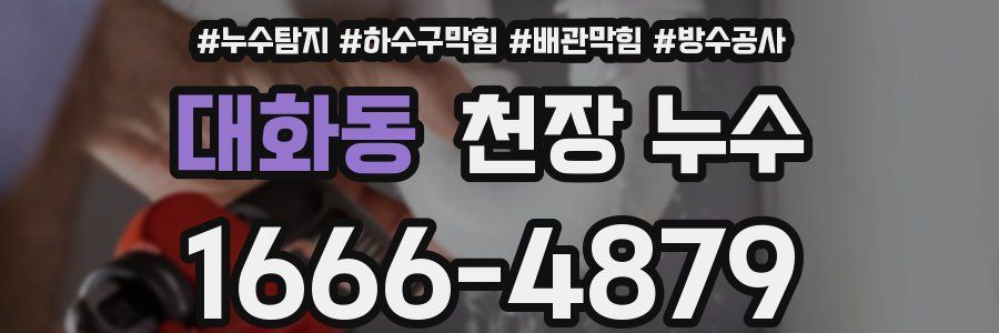 대화동 천장 누수