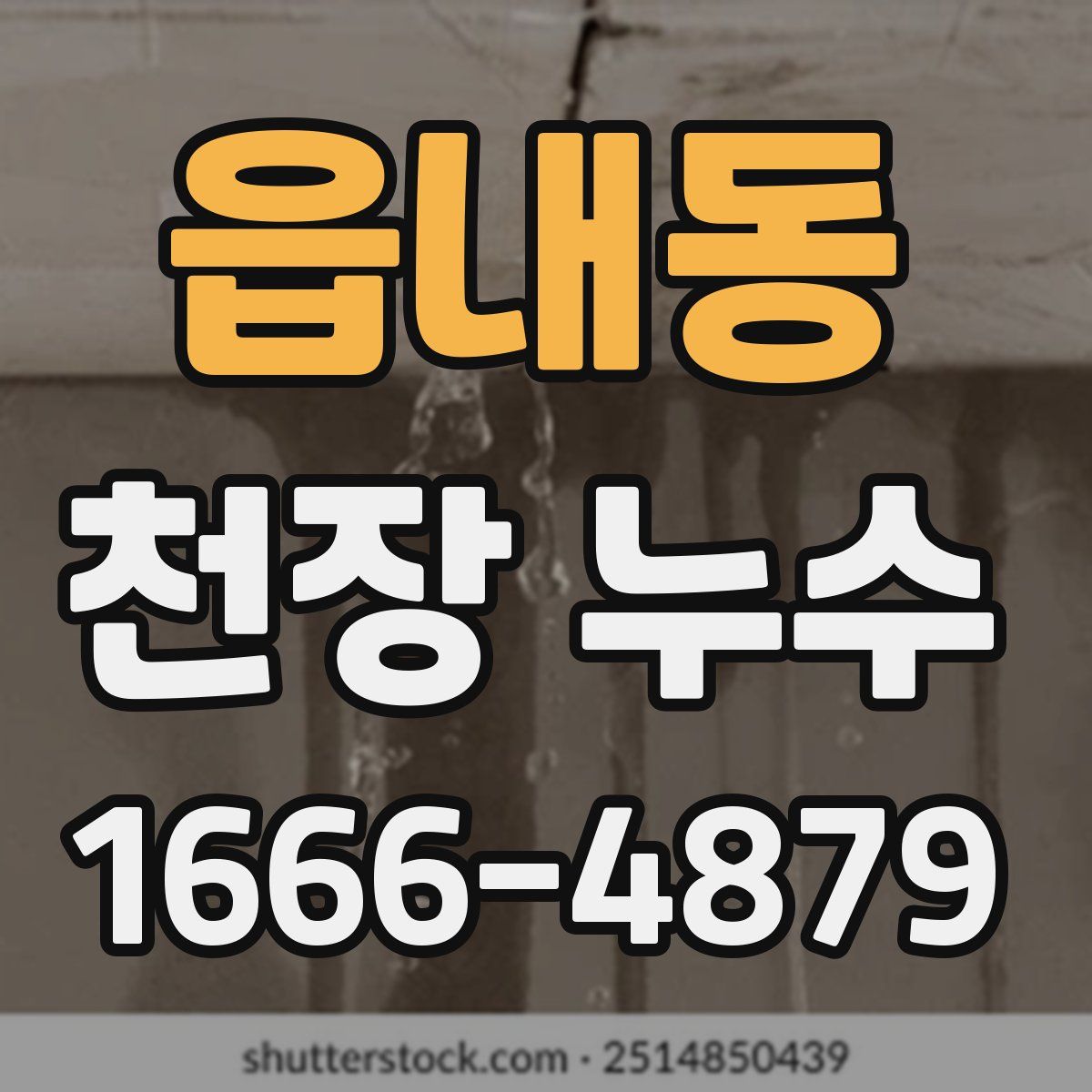 읍내동 천장 누수