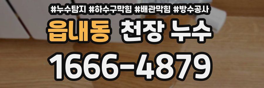 읍내동 천장 누수
