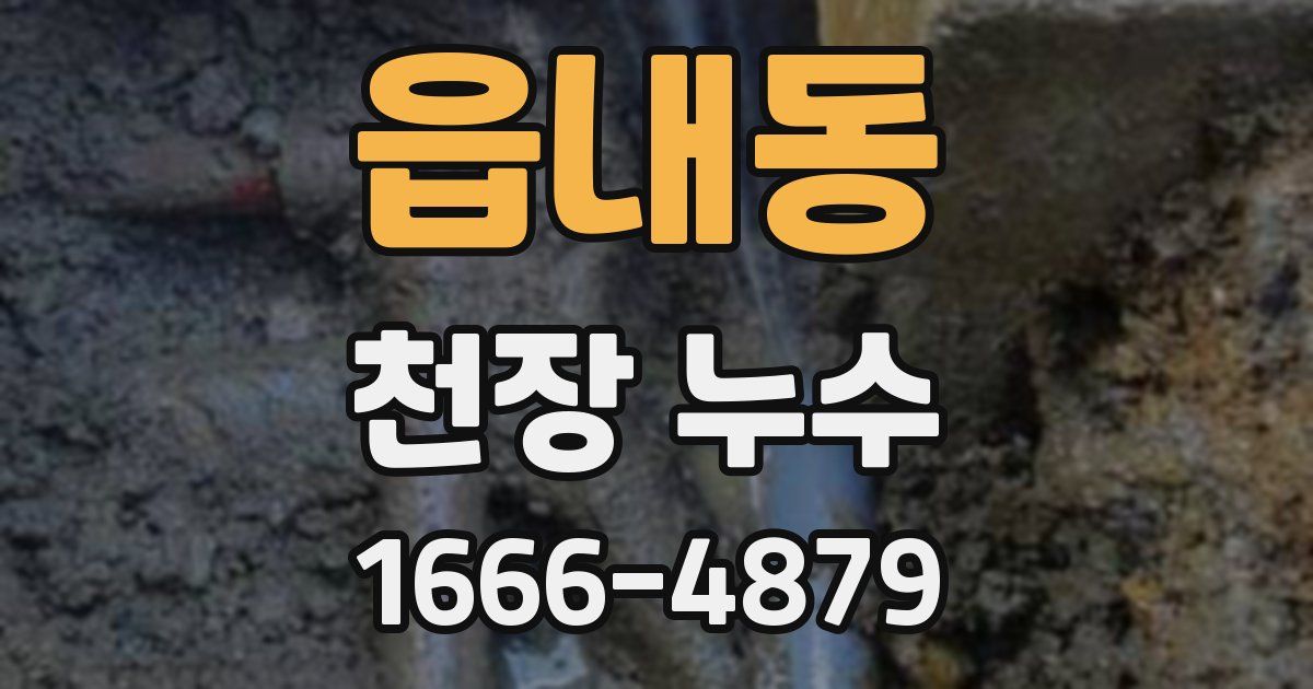 읍내동 천장 누수