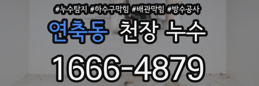 연축동 천장 누수