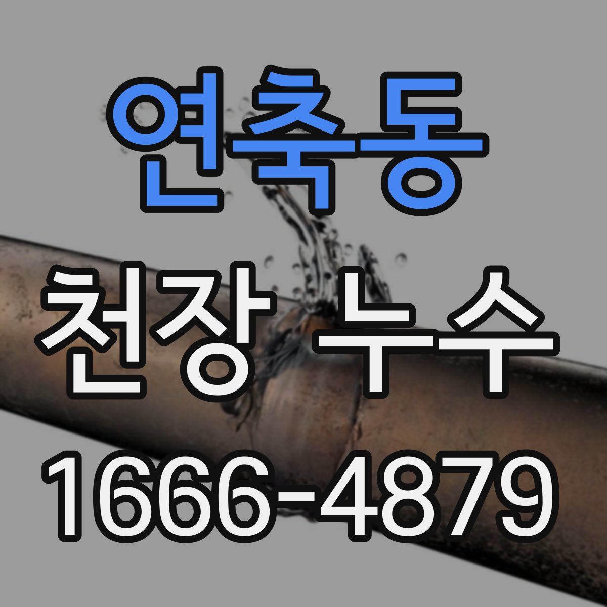 연축동 천장 누수