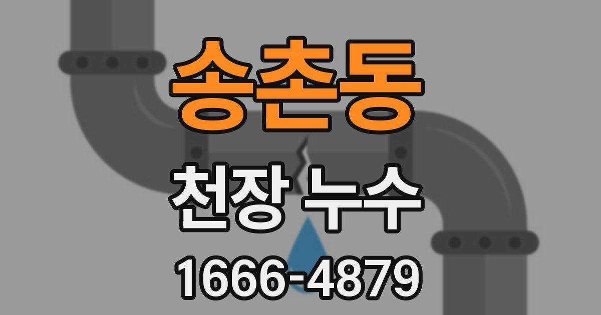 송촌동 천장 누수