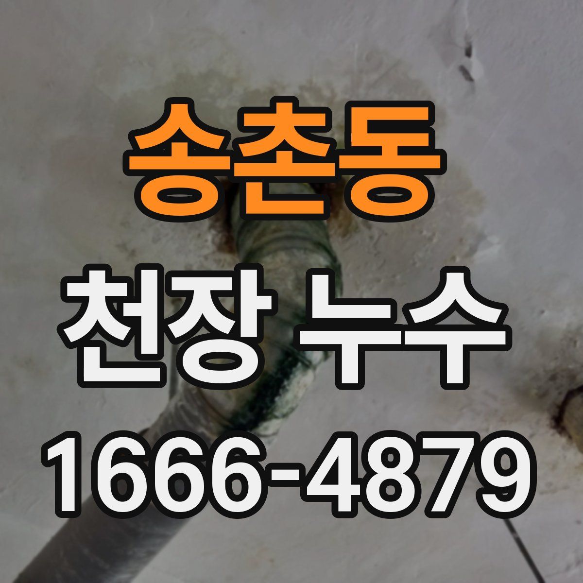 송촌동 천장 누수