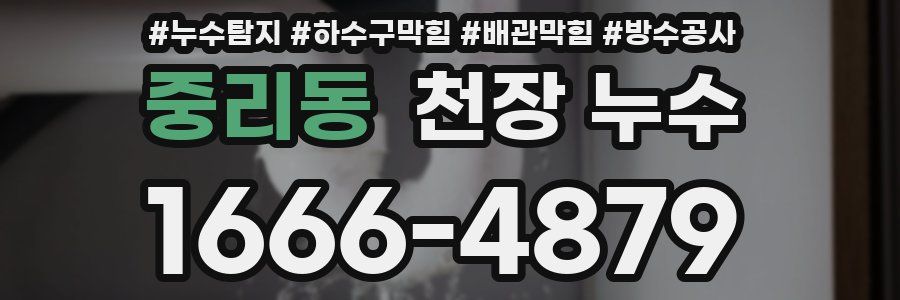 중리동 천장 누수