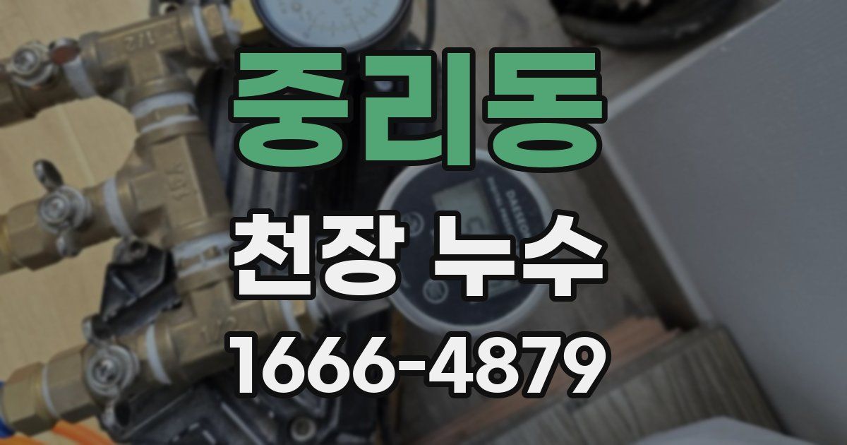 중리동 천장 누수