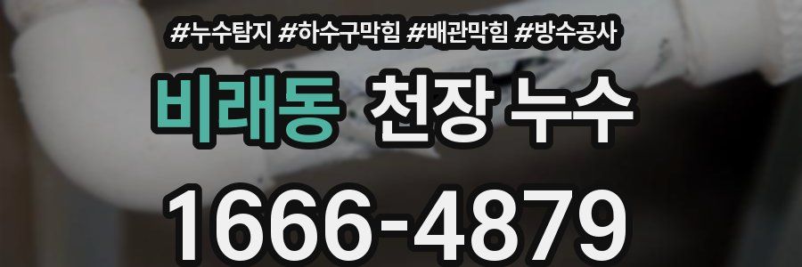 비래동 천장 누수